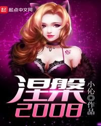 涅盘2008